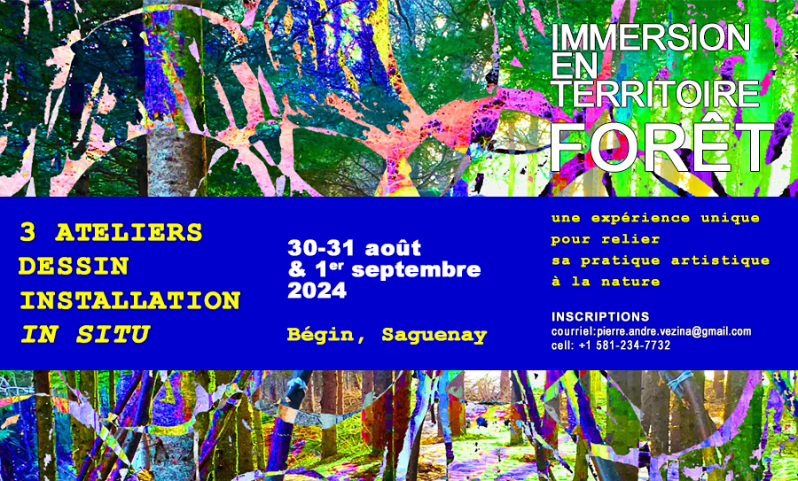 Affiche promotionnelle de l'activité sur les réseaux sociaux